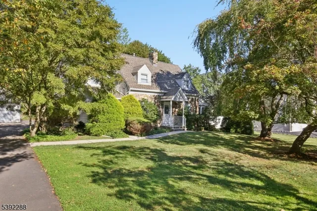 a view of a park with large trees