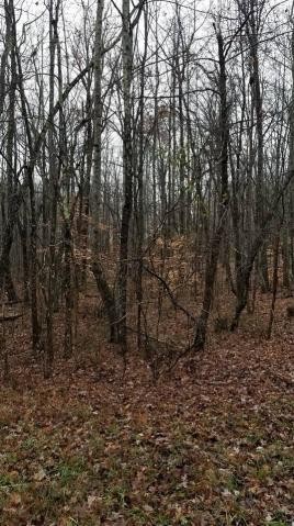 0 Cumberland Cove Road Monterey, TN 38574 - Photo 2 of 6