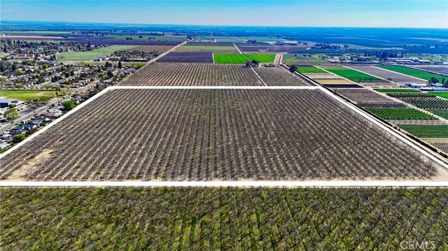 $5,990,000 | 896 North Mariposa Avenue, Farmersville, CA 93223