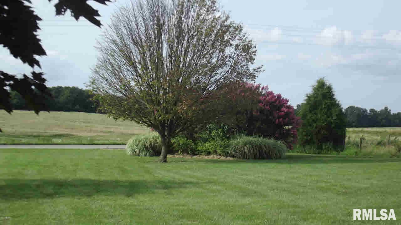 3100 Ozark Road Ozark, IL 62972 - Photo 16 of 22