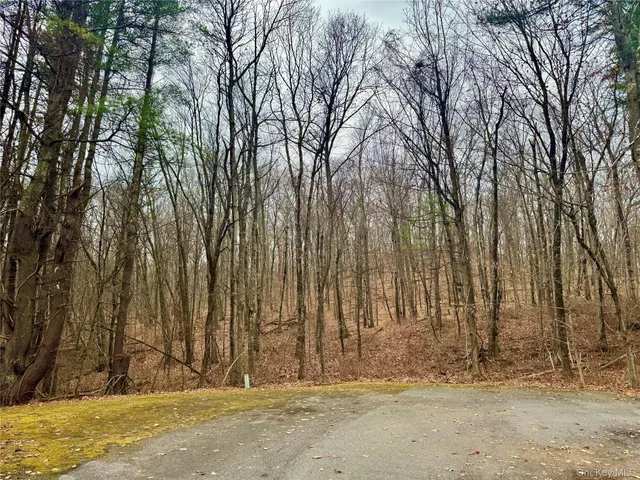 a row of trees with wooden fence