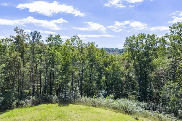 $1,397,750 | 1499 Doe And Fawn Lane, Crawford, TN 38554