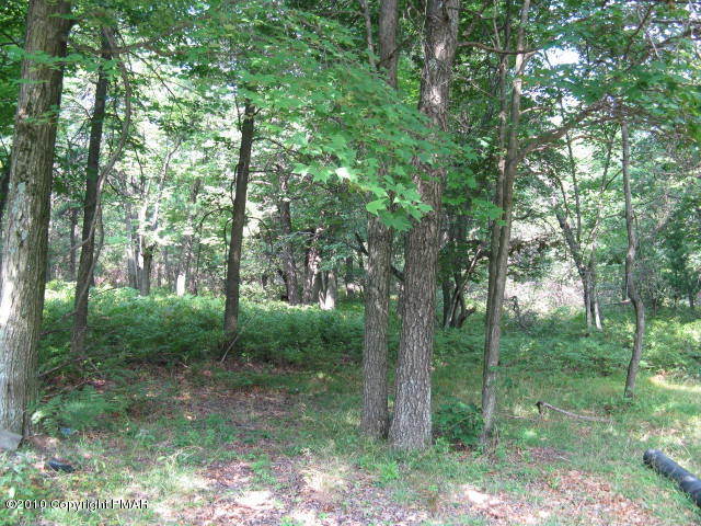57 Church Road Jim Thorpe, PA 18229 - Photo 3 of 12 Back Yard
