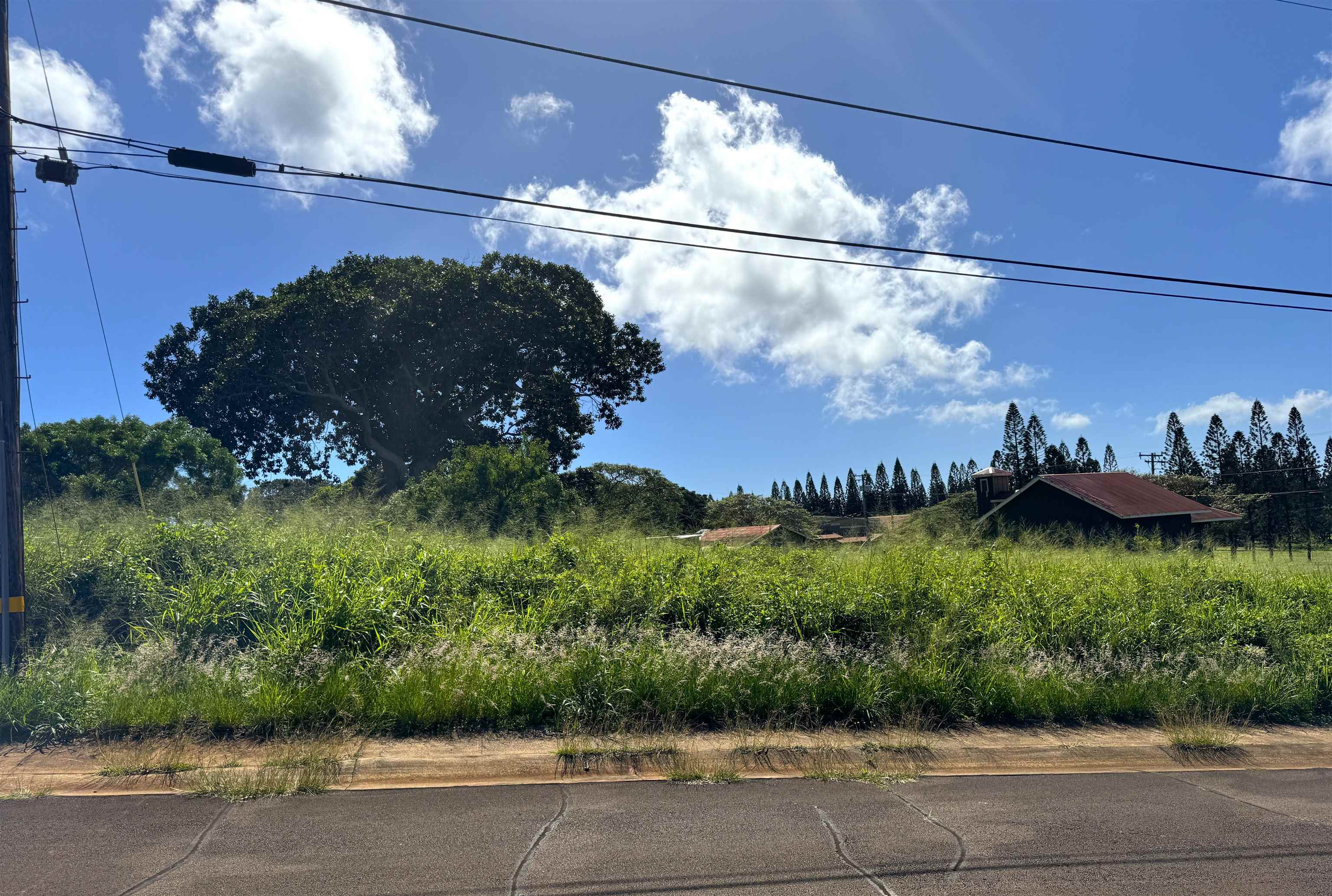 Puunana Street, Unit 541 Maunaloa, HI 96770 - Photo 3 of 7