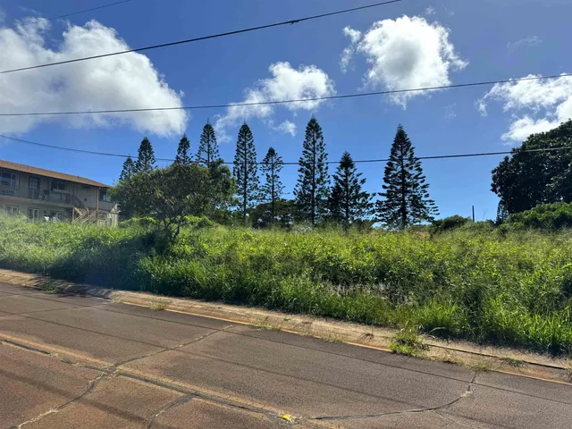 $80,000 | Puunana Street, Unit 541, Maunaloa, HI 96770