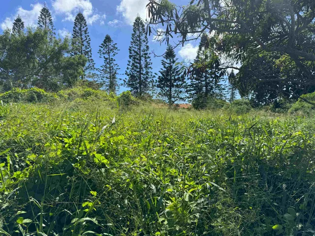 $80,000 | Puunana Street, Unit 541, Maunaloa, HI 96770