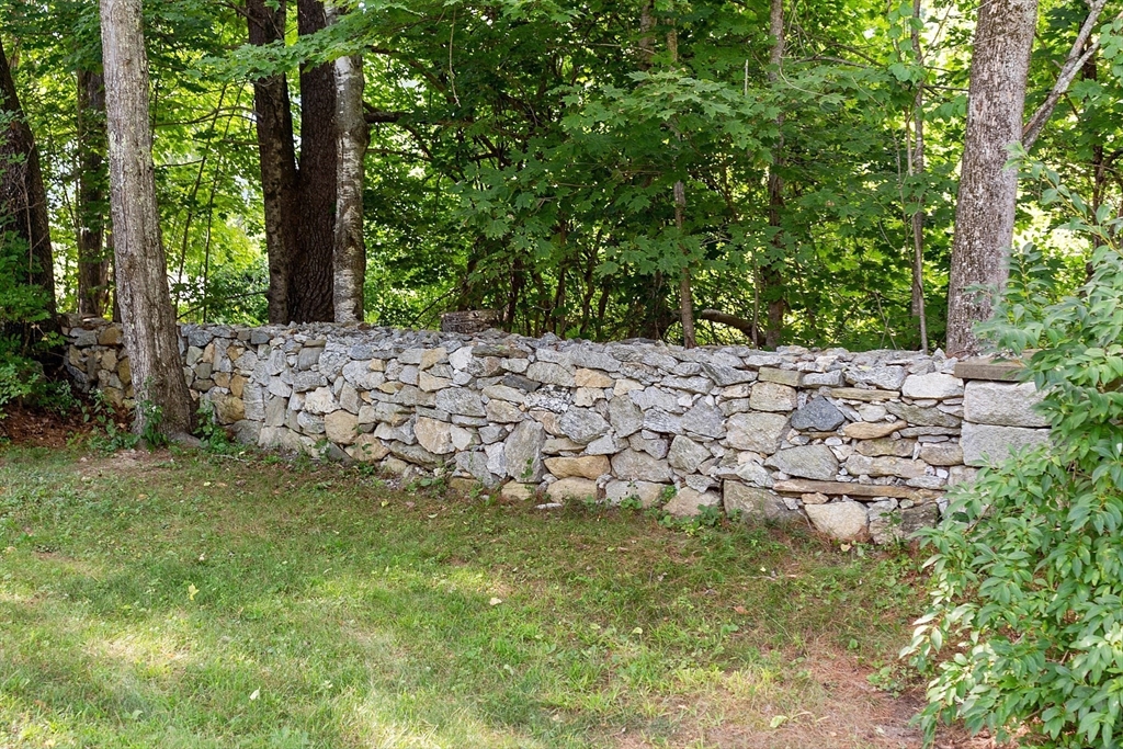 42 New Salem Road Petersham, MA 01366 - Photo 9 of 42 a view of a yard with large trees