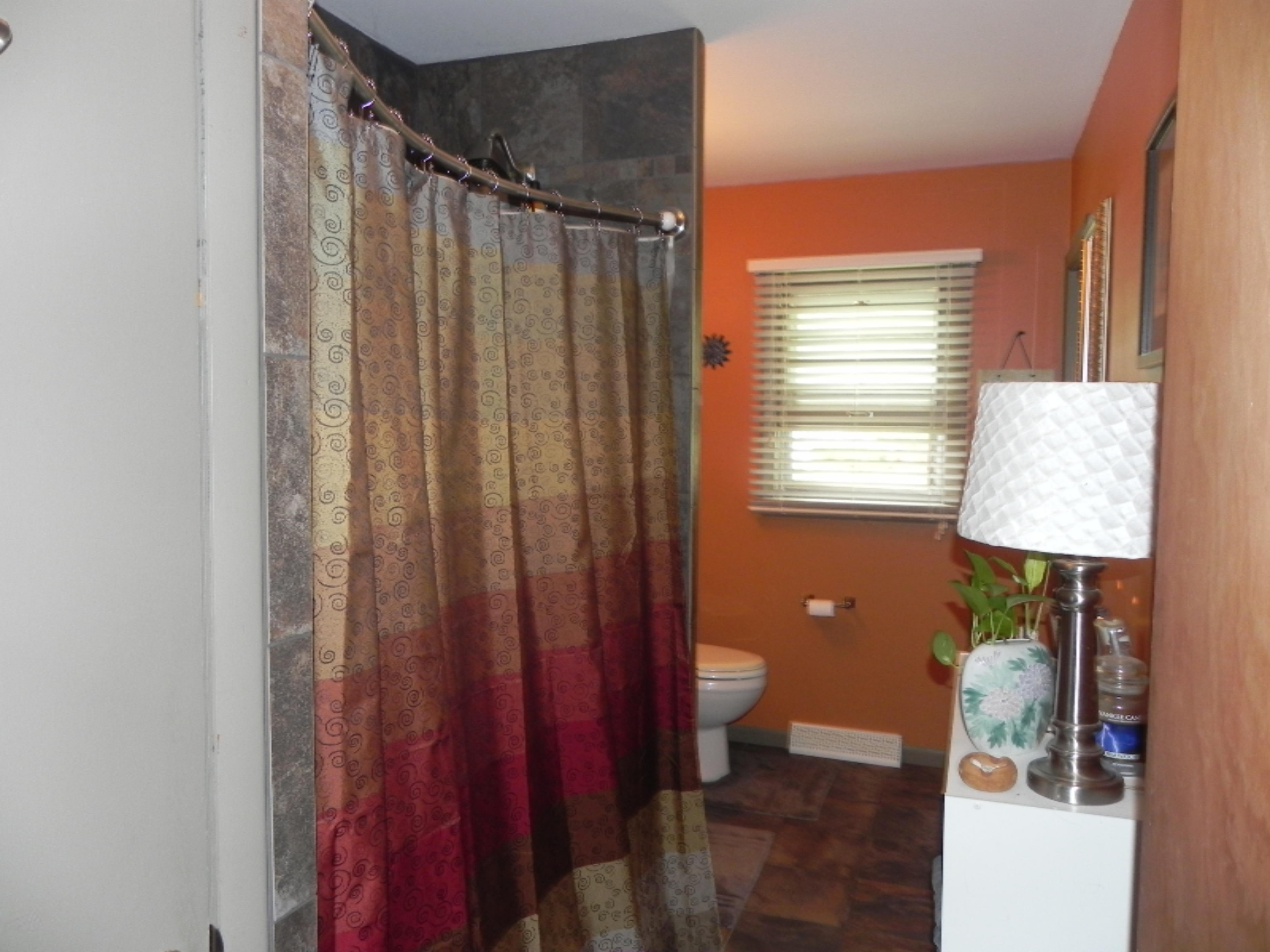 207 East St Marys Street Decatur, MI 49045 - Photo 10 of 19 DSCN7062