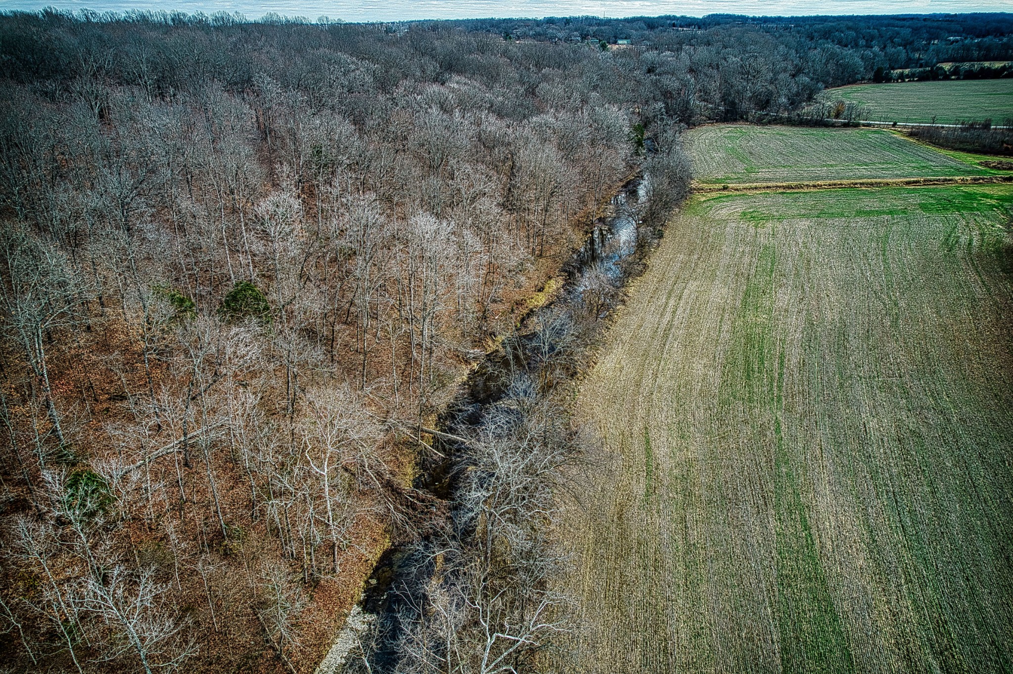 0 West Harper Road Portland, TN 37148 - Photo 11 of 16 a view of a yard with a dry yard