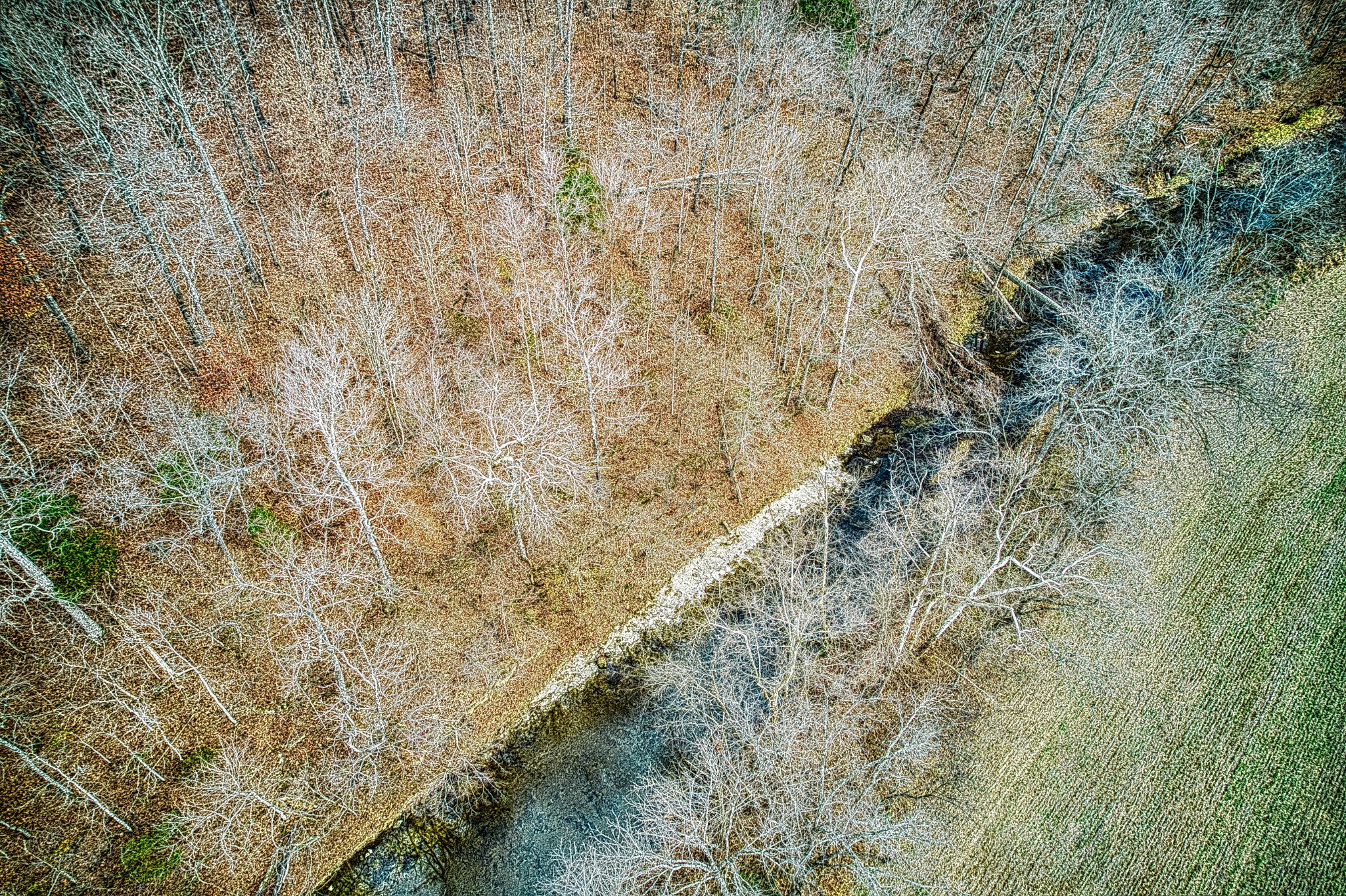 0 West Harper Road Portland, TN 37148 - Photo 9 of 16 a close up of a wall