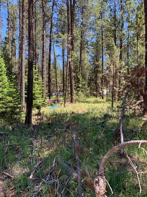 17020 Island Loop Way Bend, OR 97707 - Photo 10 of 11 Peaceful .44 acre lot