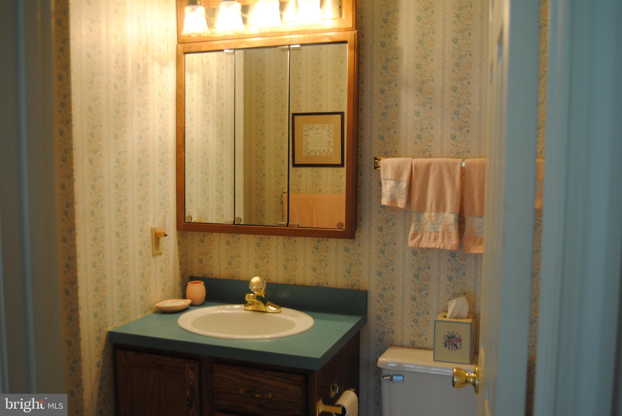 1932 Deer Path Road Harrisburg, PA 17110 - Photo 15 of 28 First floor bath