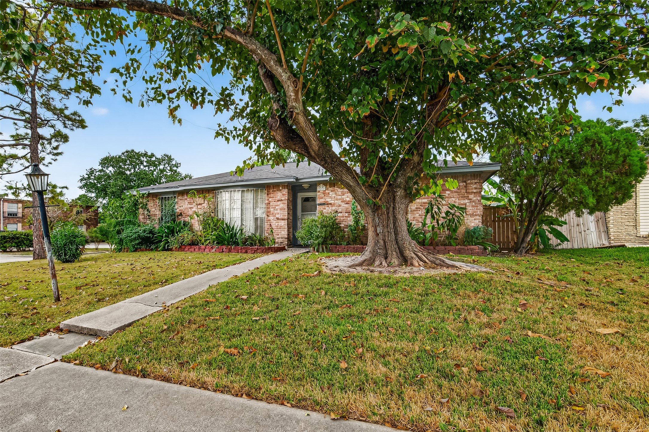 a view of a house with backyard and a tree