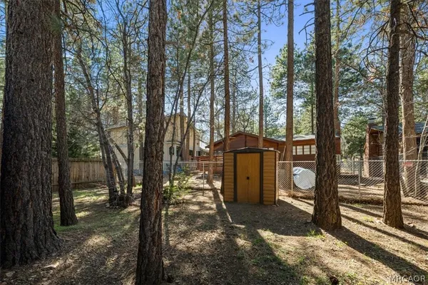a view of a backyard with trees