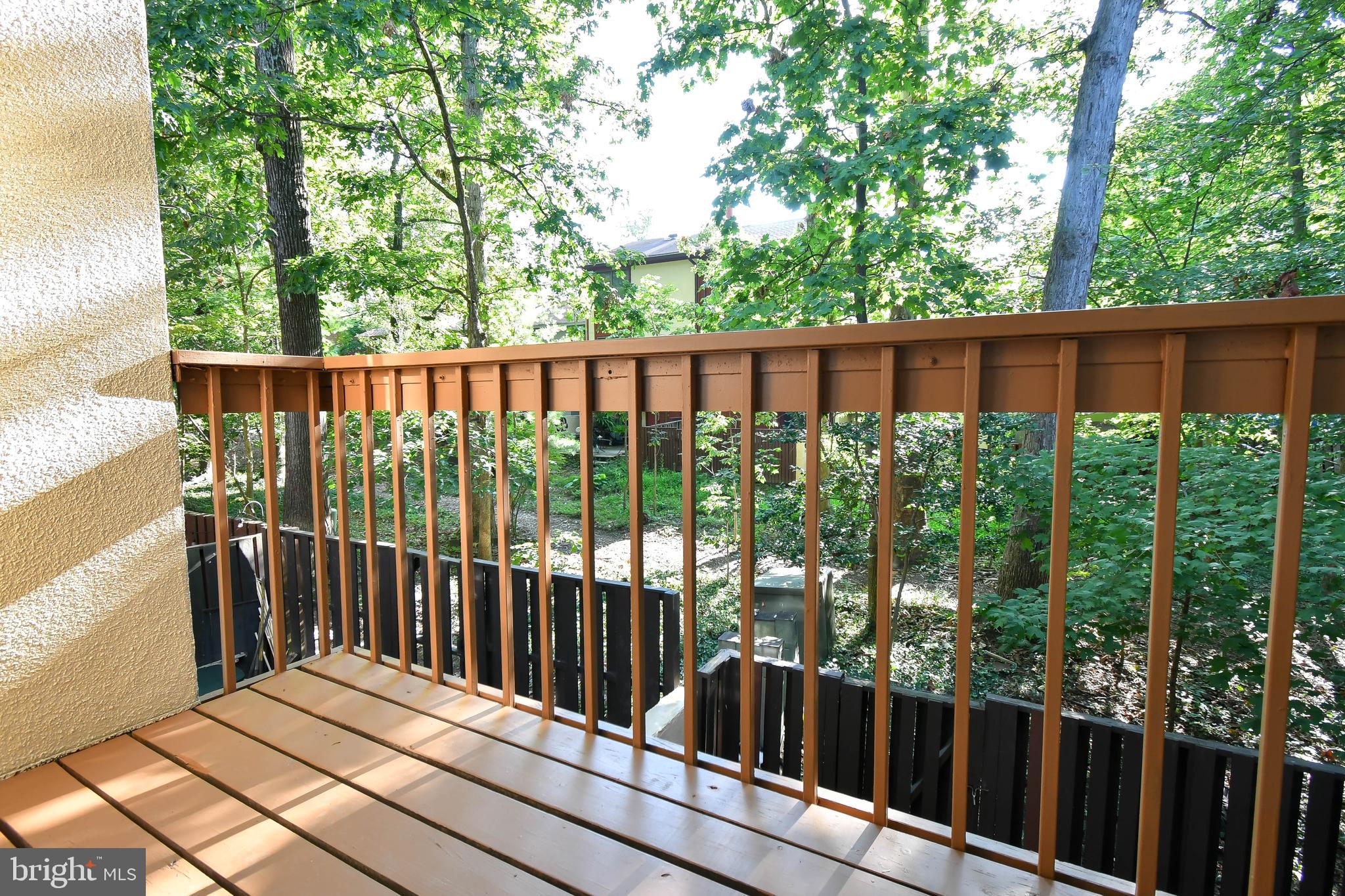 2218 White Cornus Lane Reston, VA 20191 - Photo 17 of 35 Balcony off kitchen