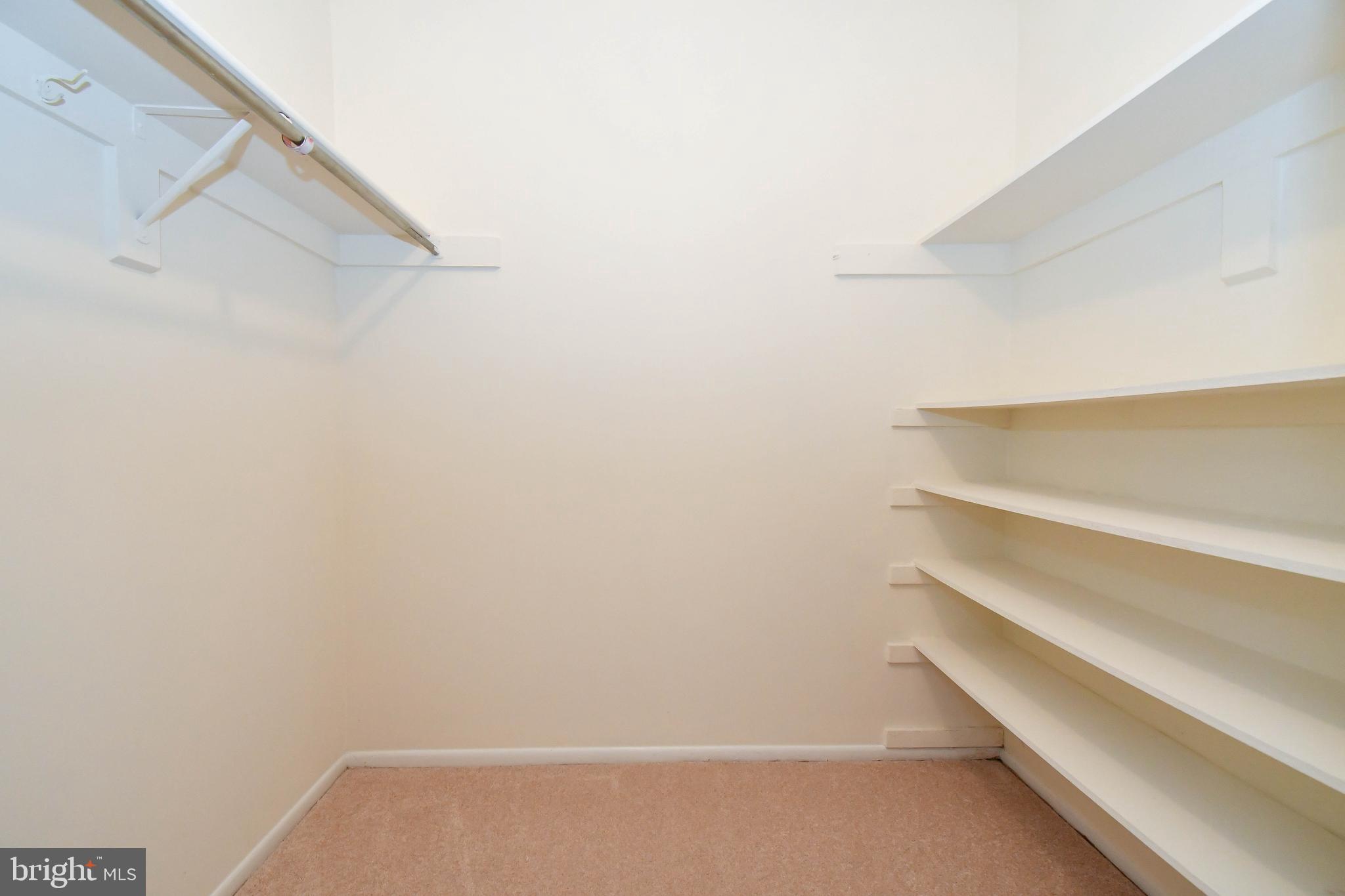 2218 White Cornus Lane Reston, VA 20191 - Photo 29 of 35 Master walk in closet