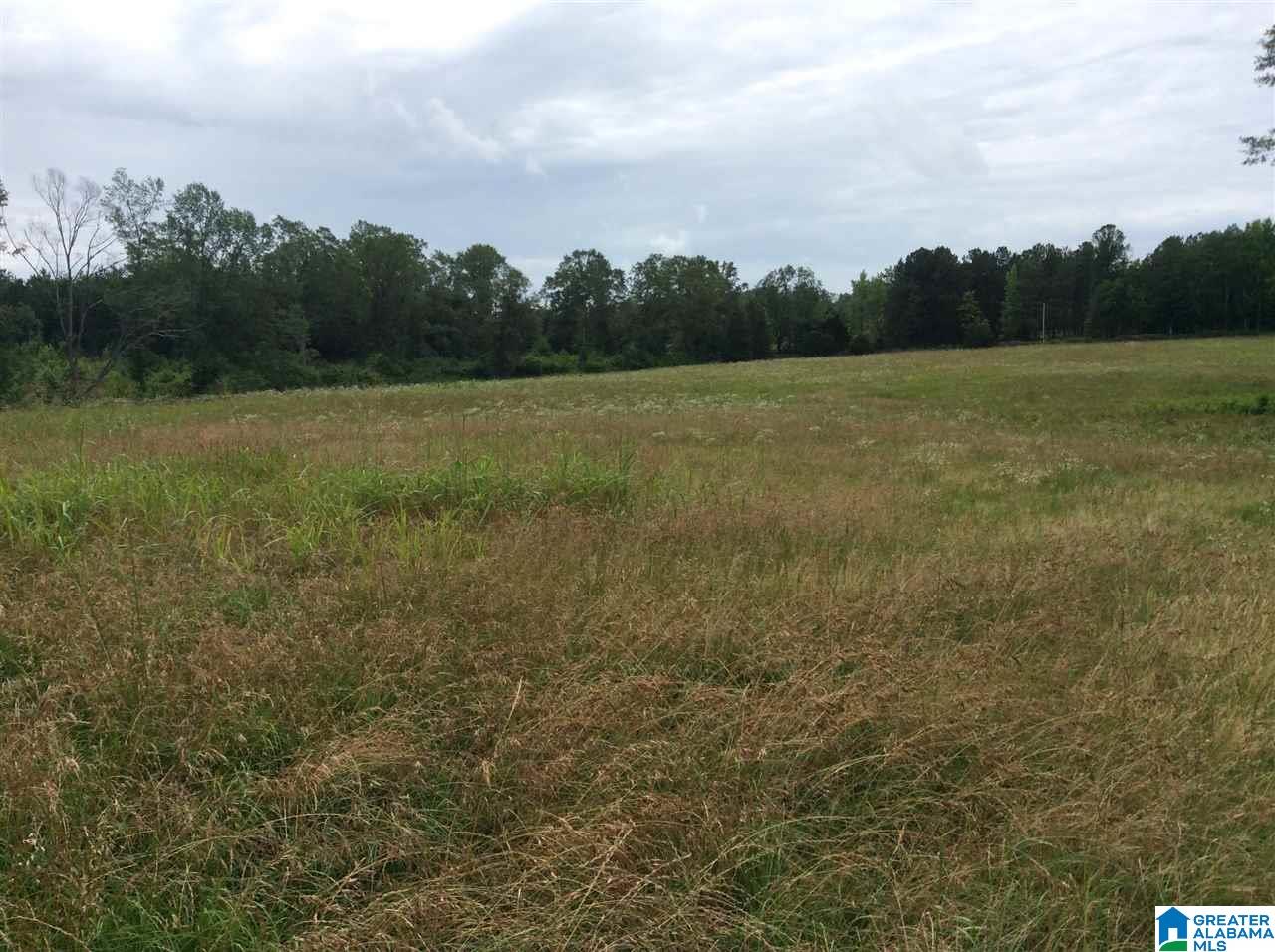 1395 County Road 152 Jemison, AL 35085 - Photo 4 of 26