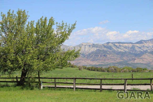 11679 56 Road Collbran, CO 81624 - Photo 3 of 9 Gallery Image 3