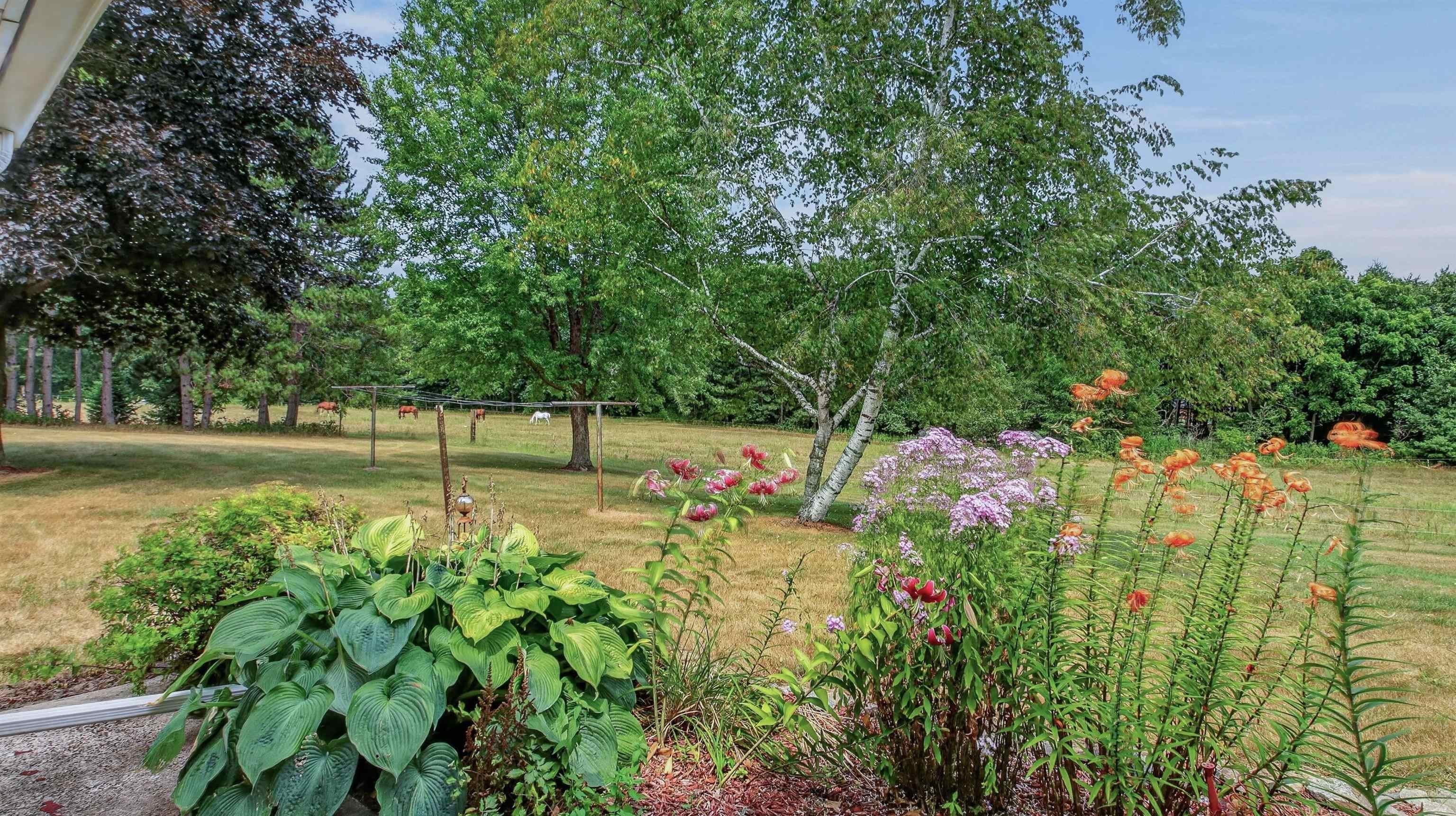 N8481 Kleba Road Hixton, WI 54635 - Photo 36 of 54 Gallery Image 36