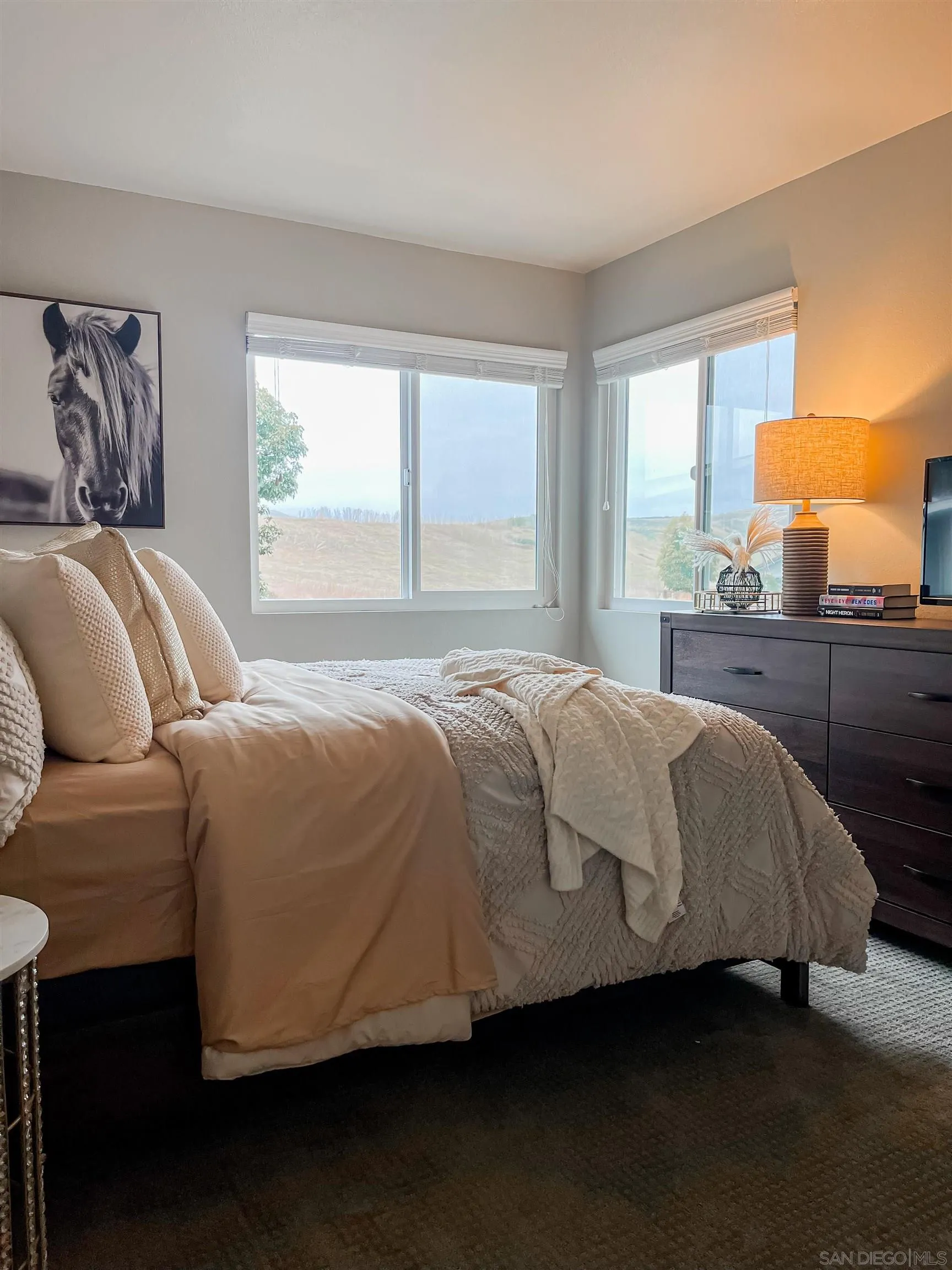 854 Dana Point Way Oceanside, CA 92058 - Photo 30 of 44