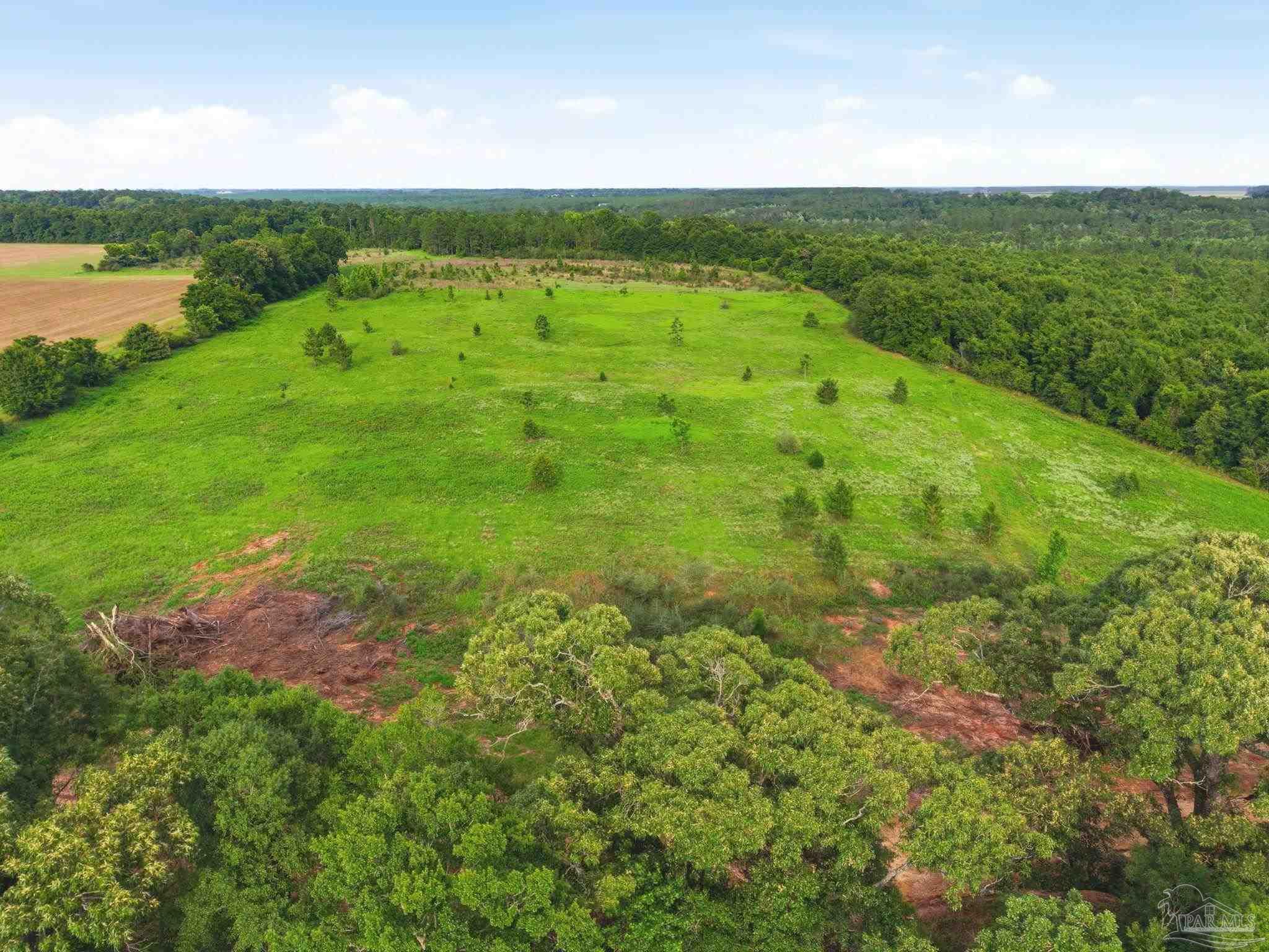 100 Mineral Springs Road Jay, FL 32565 - Photo 6 of 19 a view of a green field with an ocean view