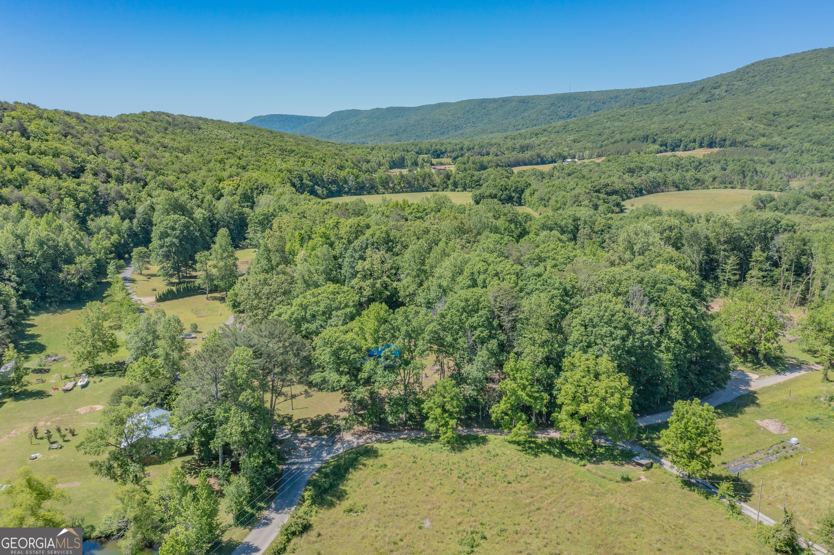 1004 Crow Gap Road Chickamauga, GA 30707 - Photo 21 of 36 a view of a lush green forest with a lake