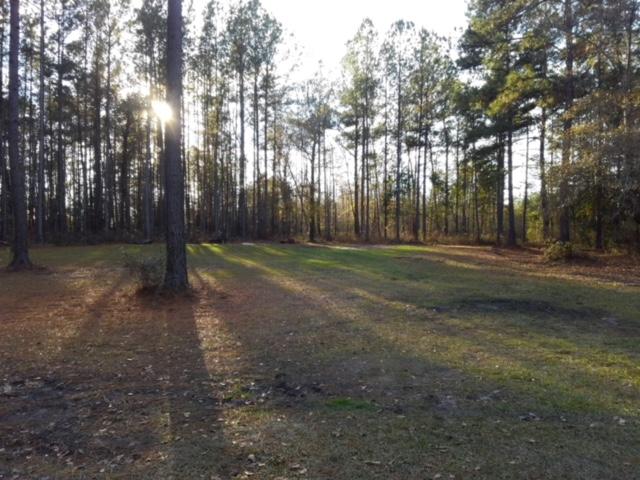 2000 Deliverance Road Ruffin, SC 29475 - Photo 14 of 33 pic 2