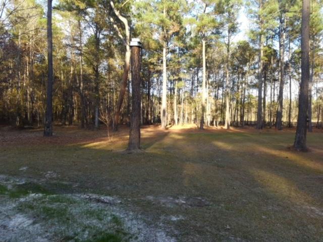2000 Deliverance Road Ruffin, SC 29475 - Photo 3 of 33 Pic 3