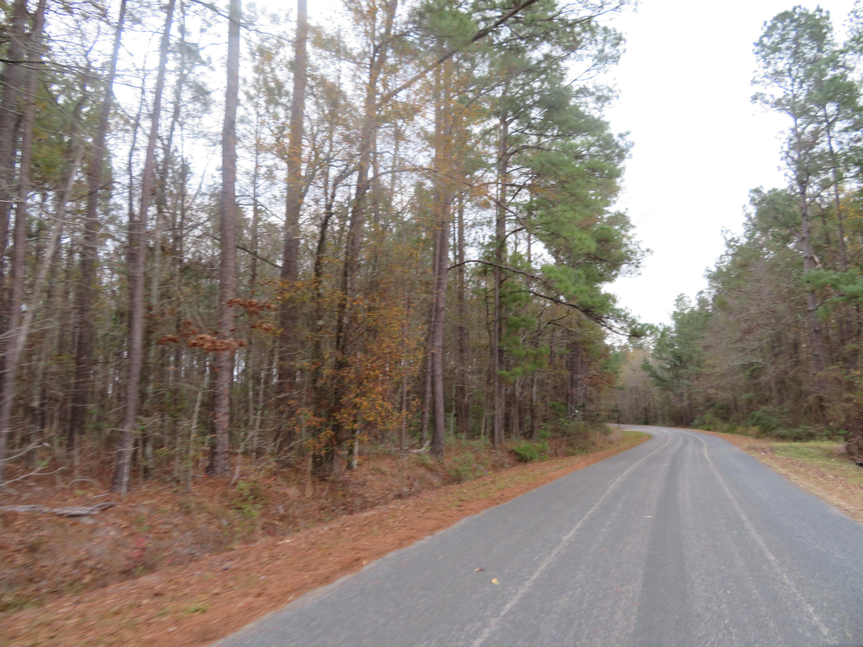 2000 Deliverance Road Ruffin, SC 29475 - Photo 21 of 33 IMG_0302