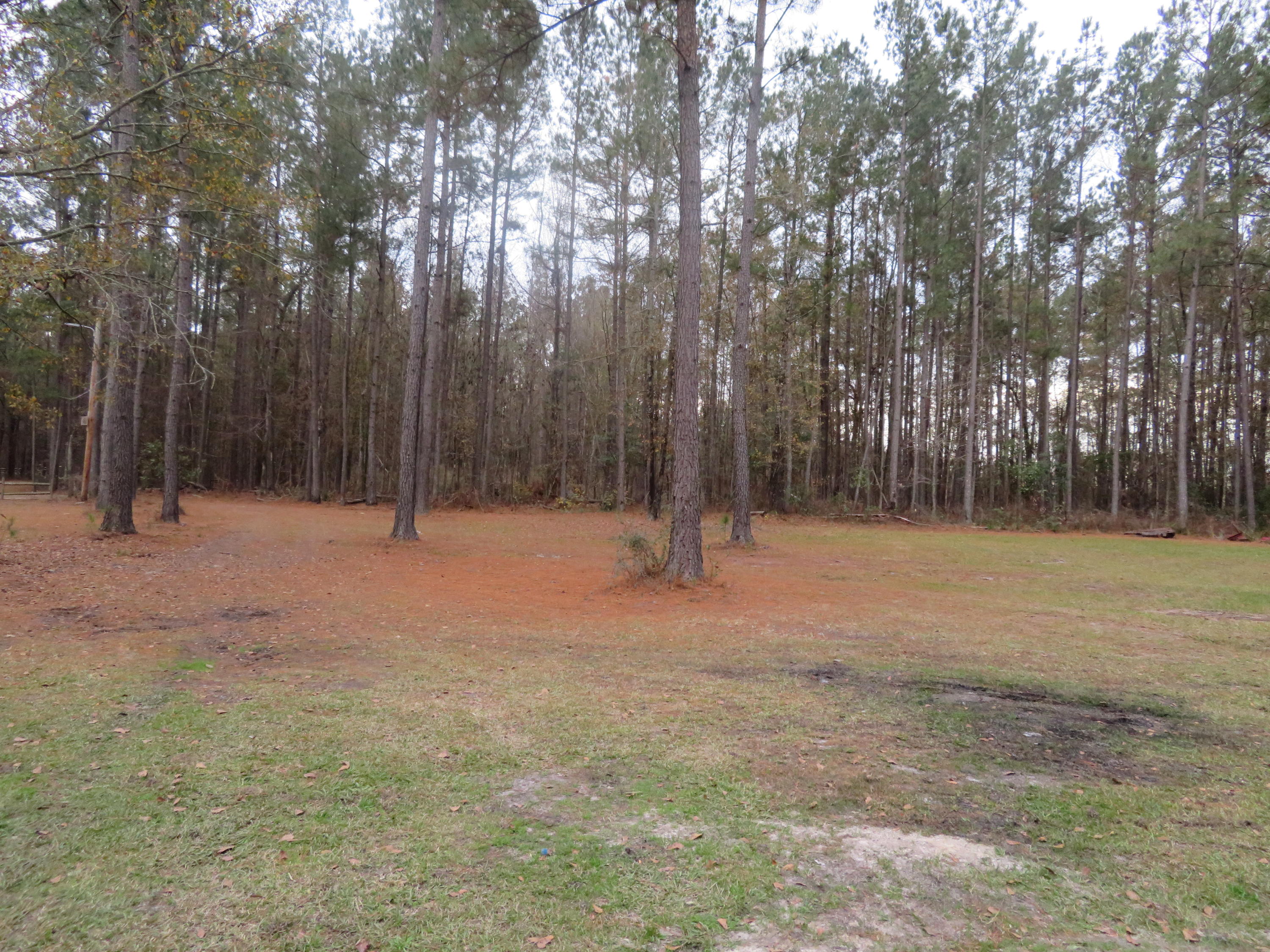 2000 Deliverance Road Ruffin, SC 29475 - Photo 24 of 33 IMG_0270