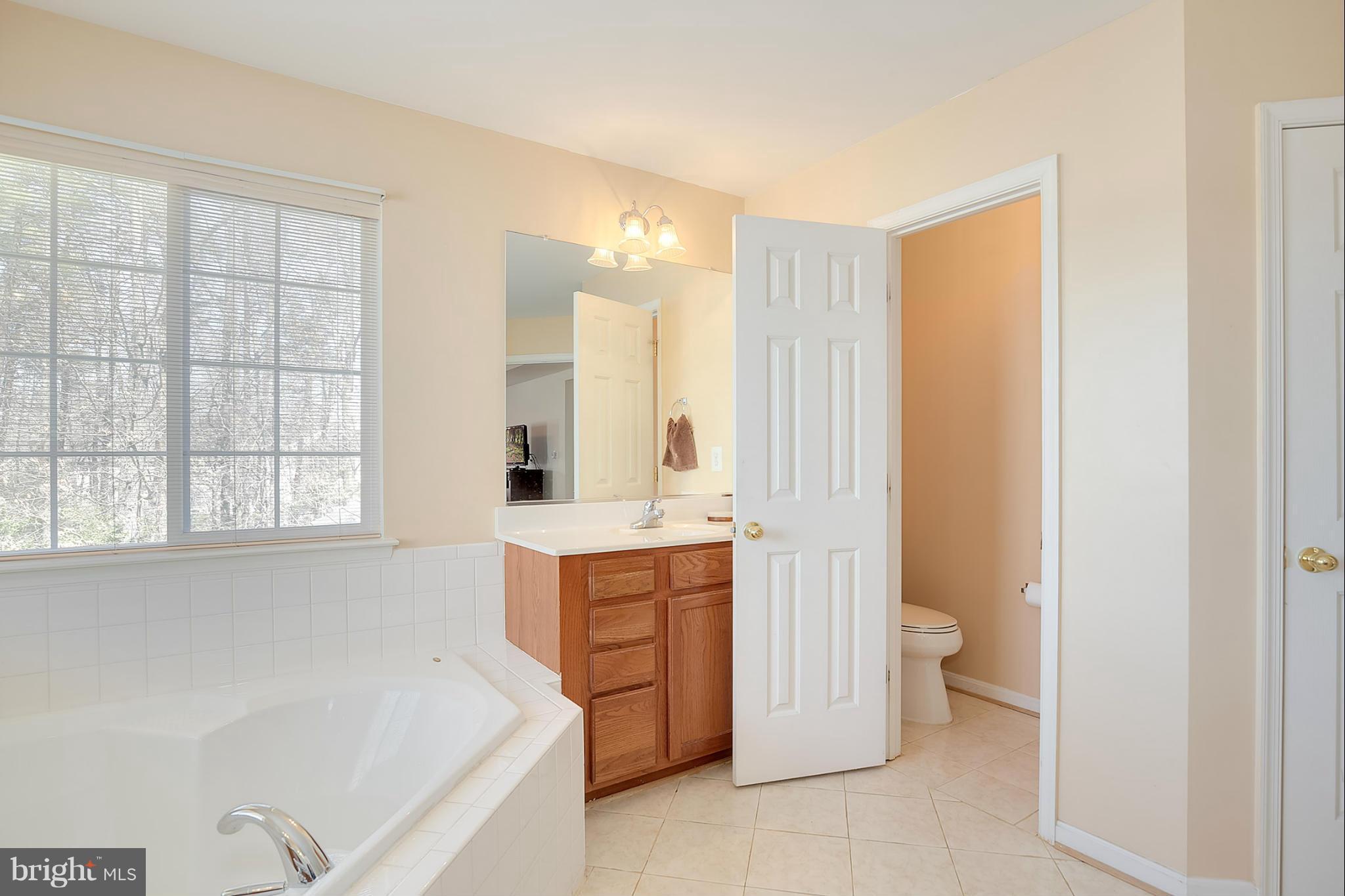 9829 Farm Pond Road Laurel, MD 20708 - Photo 24 of 30 Bath (Master)
