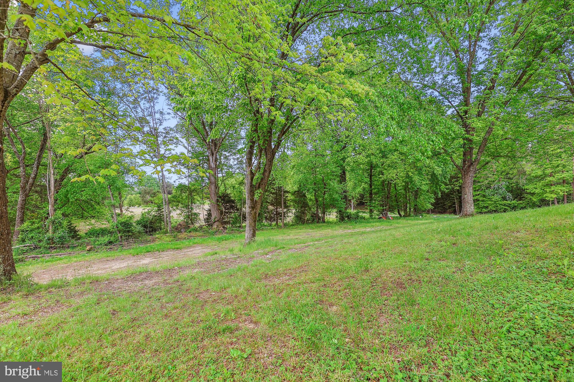 16200 Baden Springs Drive Brandywine, MD 20613 - Photo 44 of 51 Yard
