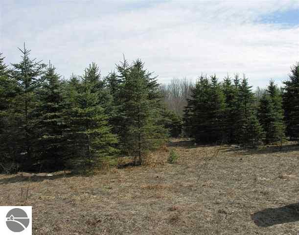 9717 Creighton Road Southwest Fife Lake, MI 49633 - Photo 2 of 3 1712843-1.JPG