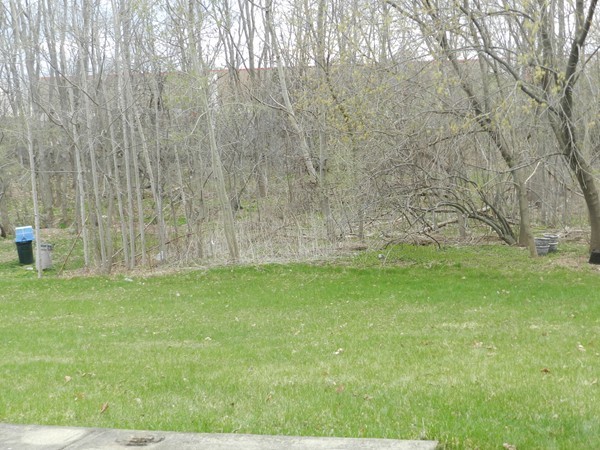 59 Needham Road Danvers, MA 01923 - Photo 7 of 29 Gallery Image 7