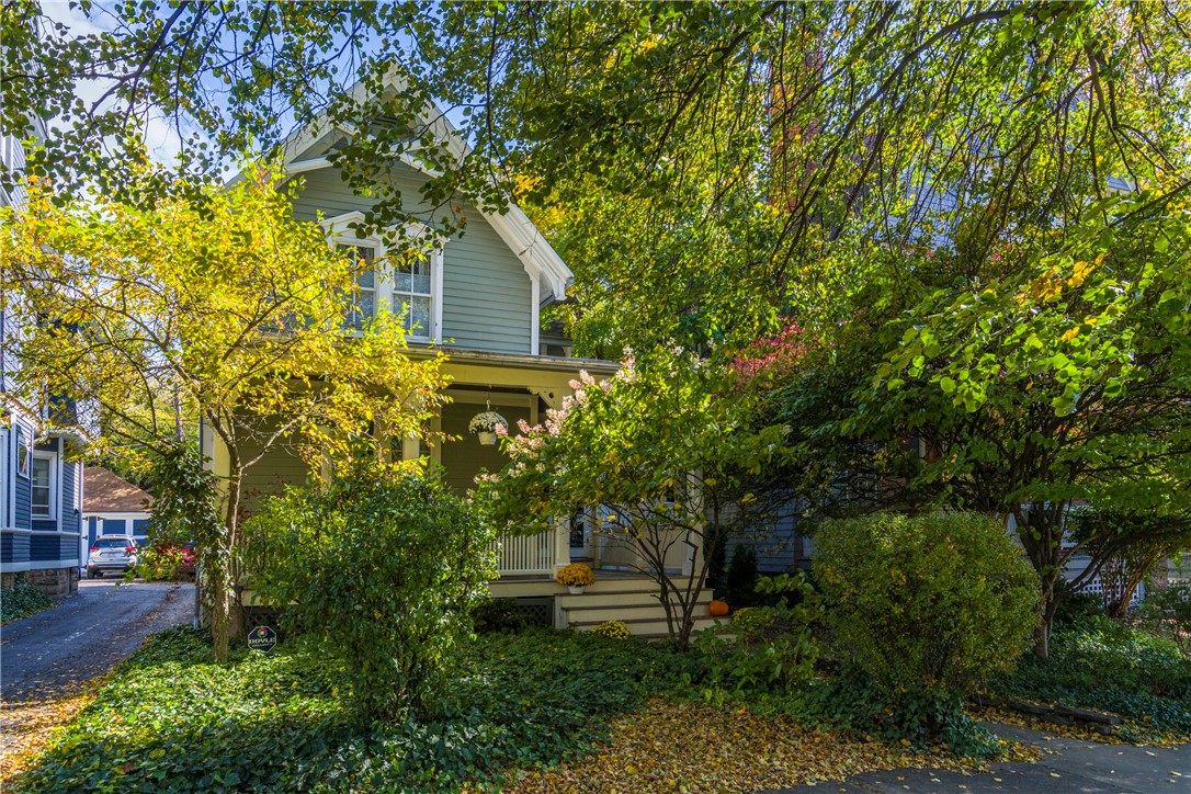 49 Vick Park B Rochester, NY 14607 - Photo 2 of 45