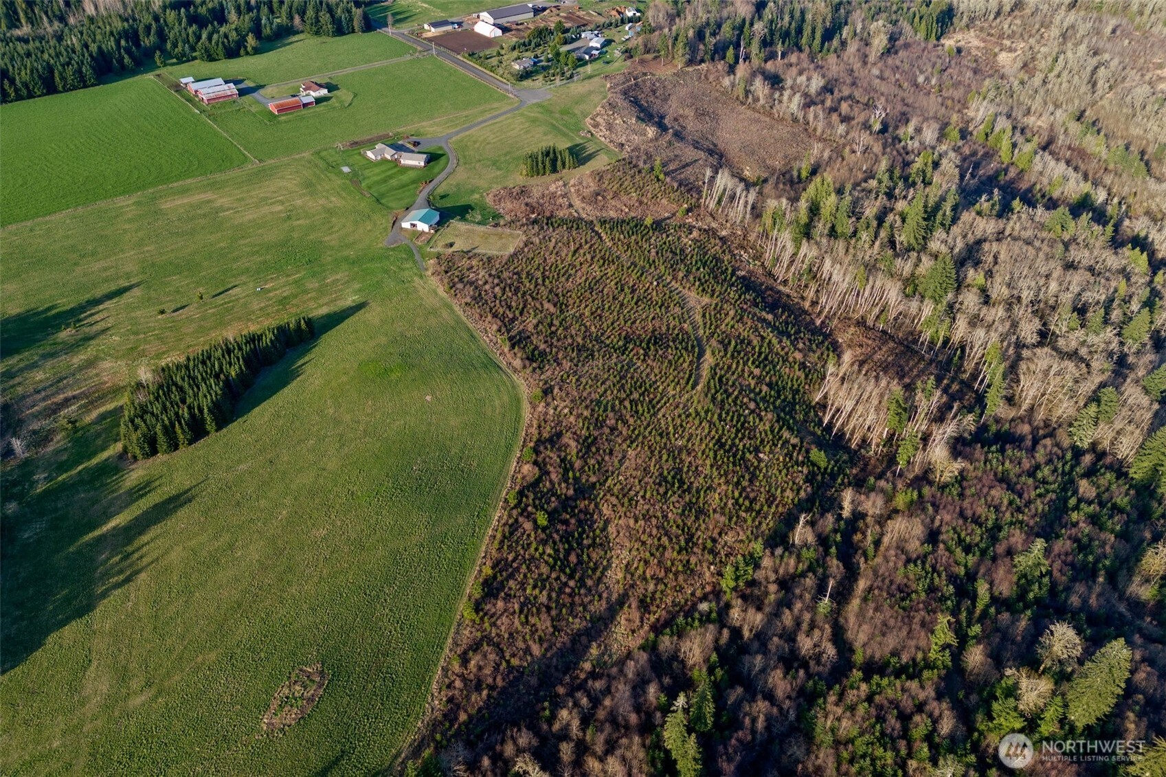 198 Short Road Onalaska, WA 98570 - Photo 38 of 40 a view of a street with a lake view