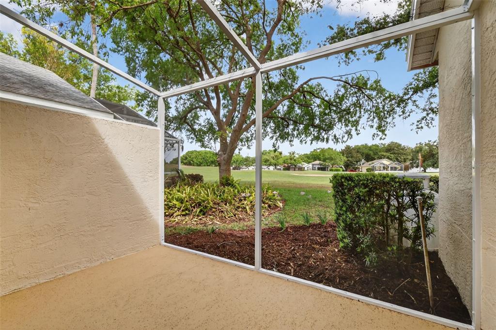 6027 Spring Creek Court Mount Dora, FL 32757 - Photo 18 of 42 a view of a yard with a tree