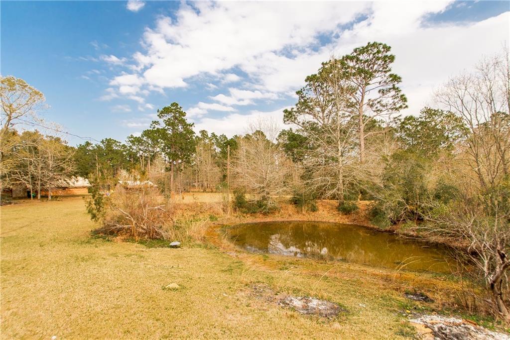 63480 Dummyline Road Amite, LA 70422 - Photo 30 of 34 Gallery Image 30