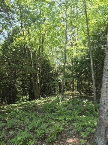 $190,000 | 9918 Pueblo Trail, Evart, MI 49631