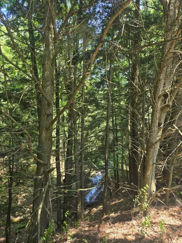 $190,000 | 9918 Pueblo Trail, Evart, MI 49631