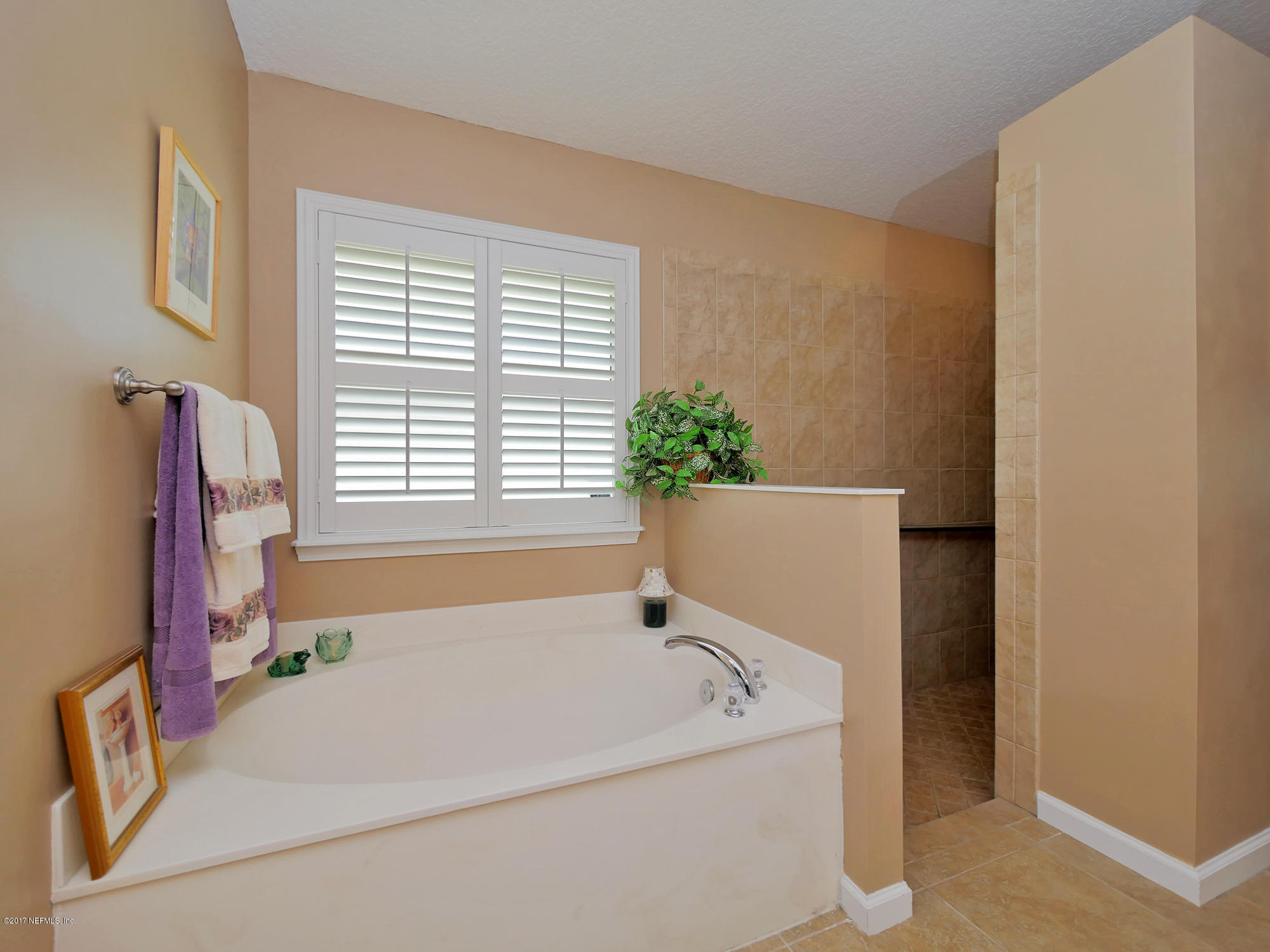 888 Reflection Cove Road East Jacksonville, FL 32218 - Photo 19 of 51 19 garden tub & walk-in shower