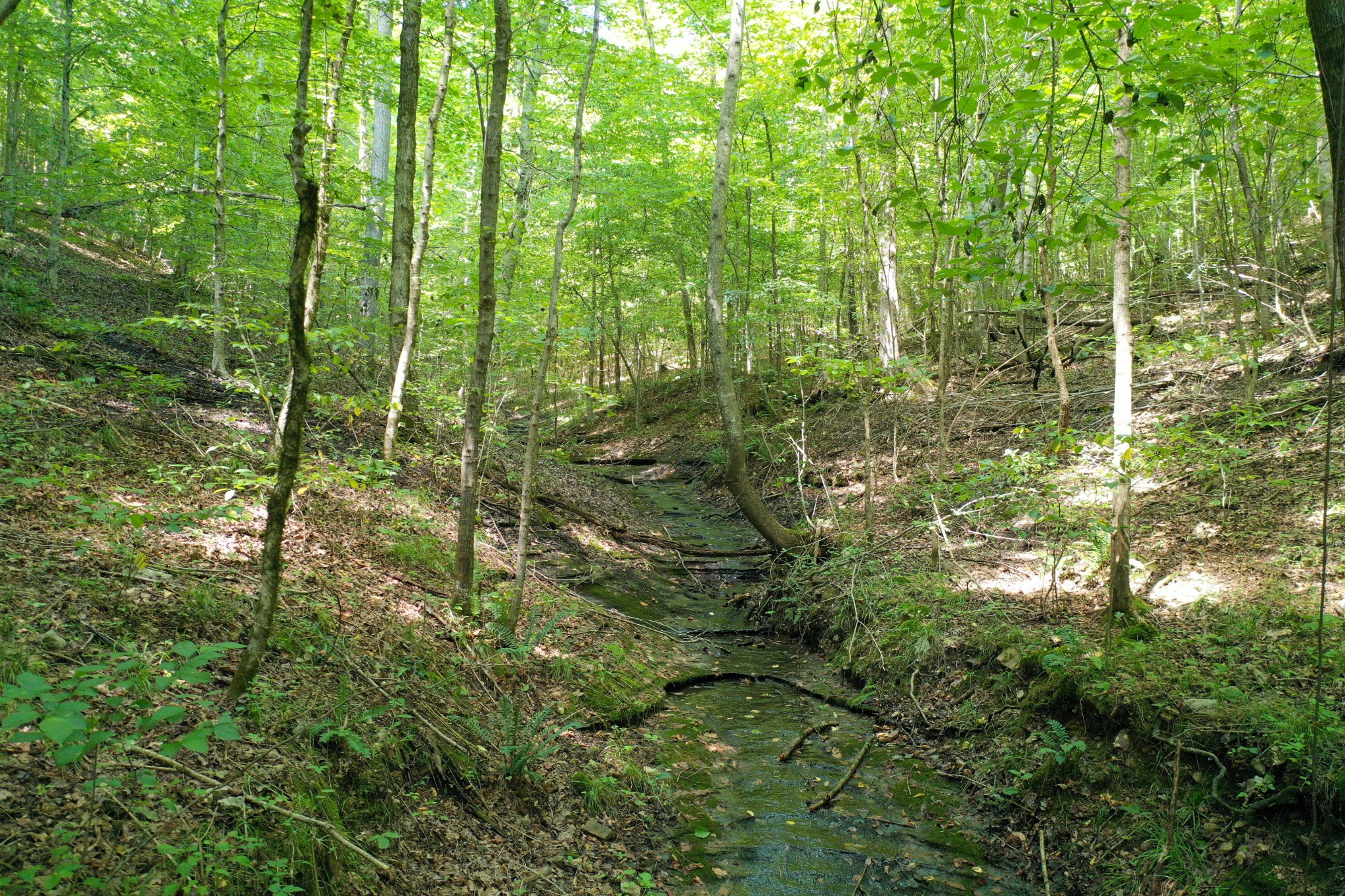 2427 Hurricane Creek Road Linden, TN 37096 - Photo 3 of 19 Gallery Image 3