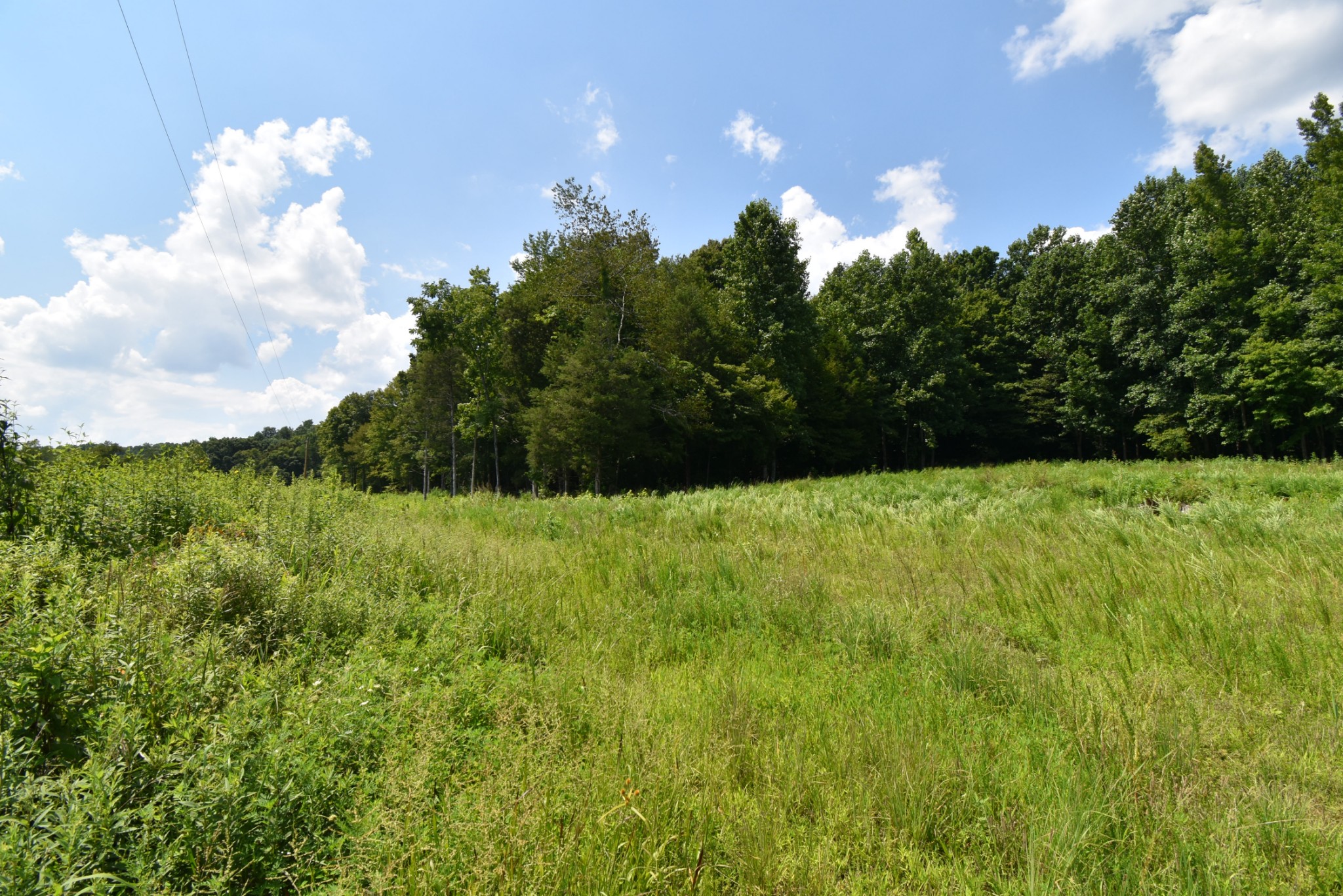 2427 Hurricane Creek Road Linden, TN 37096 - Photo 5 of 19 Gallery Image 5