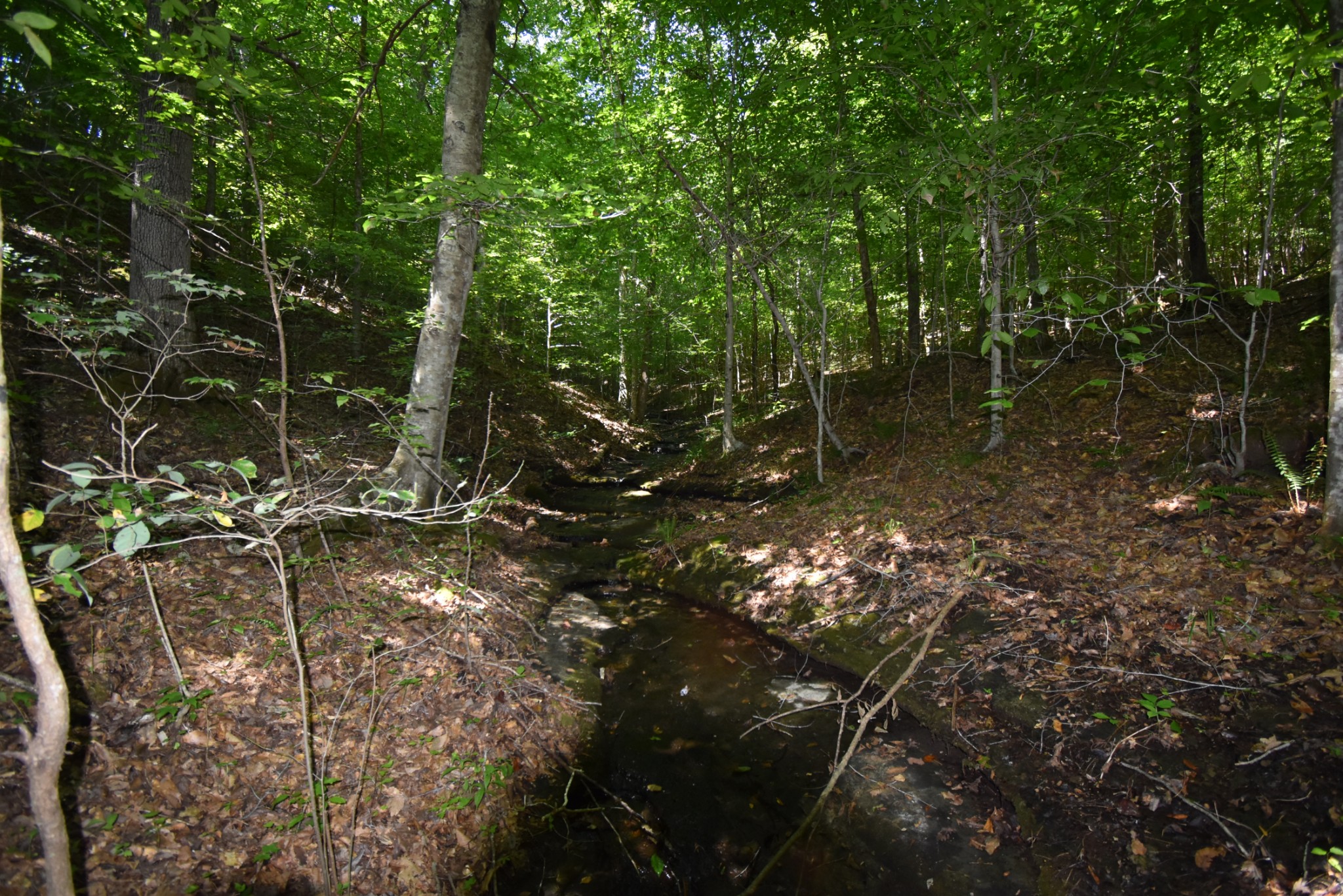 2427 Hurricane Creek Road Linden, TN 37096 - Photo 9 of 19 Gallery Image 9
