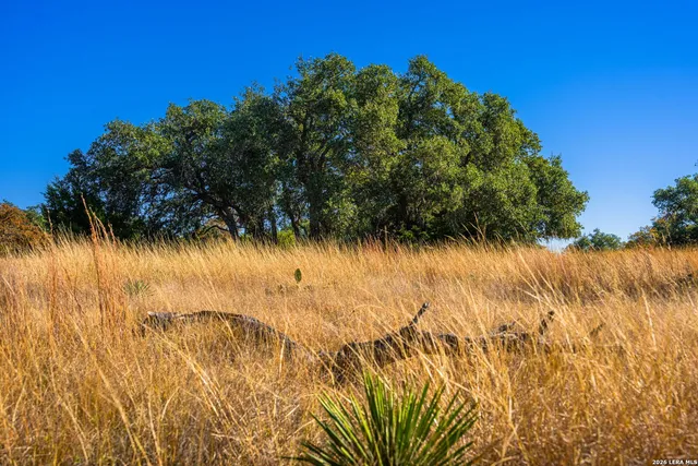 $275,400 | 19 Legacy Oaks Drive, Harper, TX 78631