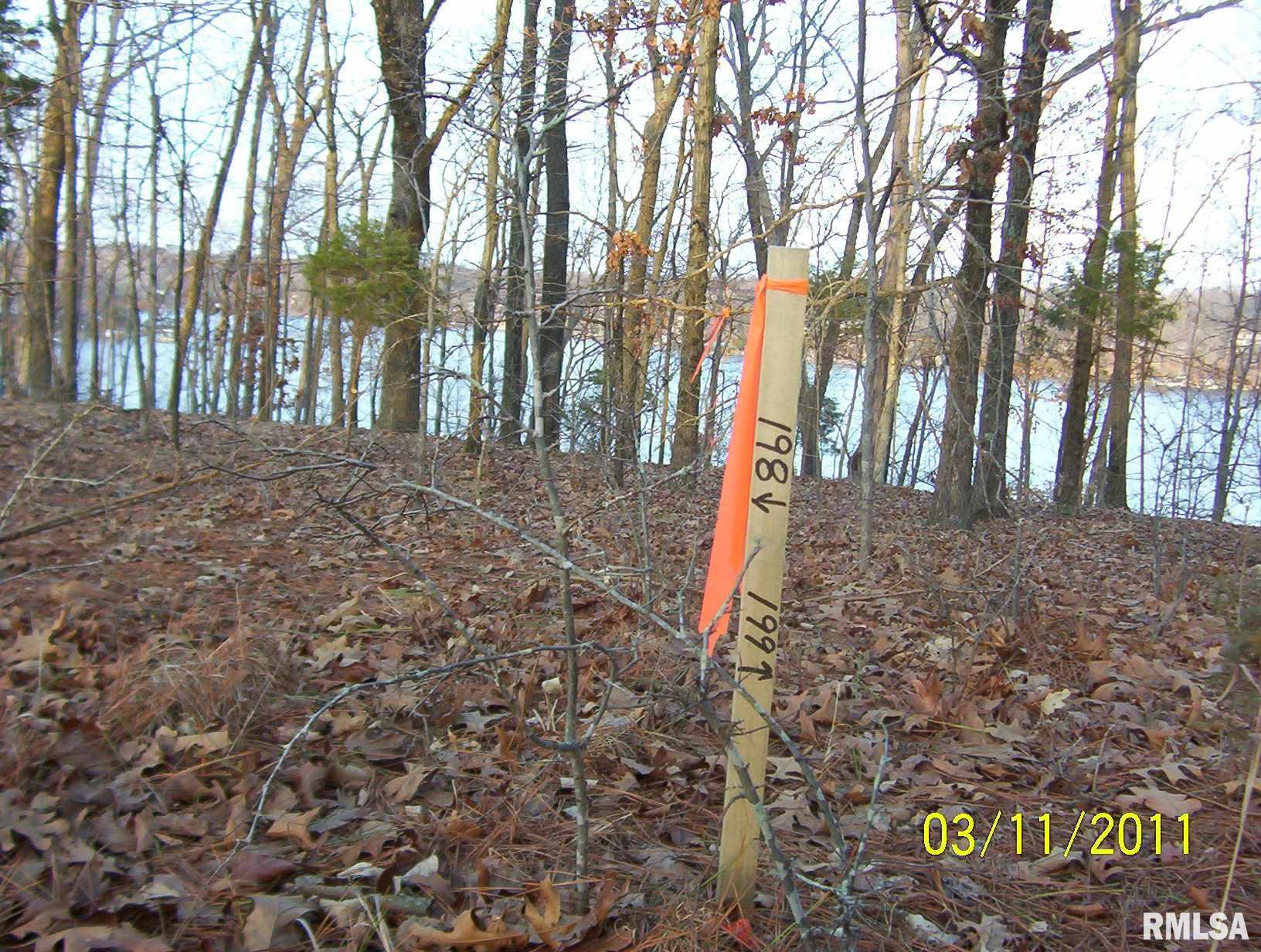 Lot 198 Parrish Ridge Road Goreville, IL 62939 - Photo 5 of 9 Gallery Image 5