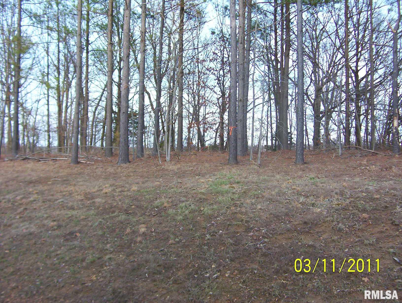 Lot 198 Parrish Ridge Road Goreville, IL 62939 - Photo 8 of 9 Gallery Image 8