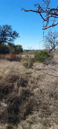 a view of a dry yard with wooden fence