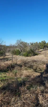 a view of a yard with a tree