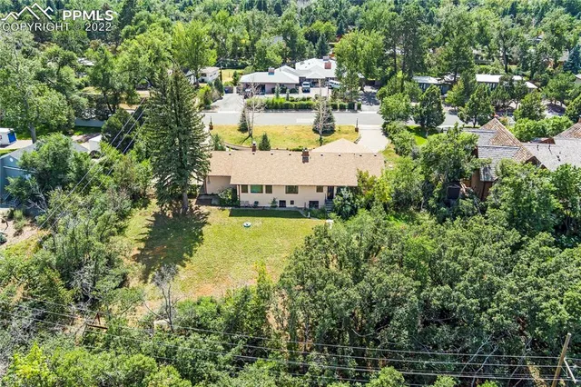 a view of a swimming pool with lawn chairs and large trees
